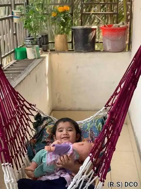 Hamok roshi jokto